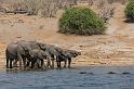 069 Botswana, Chobe NP